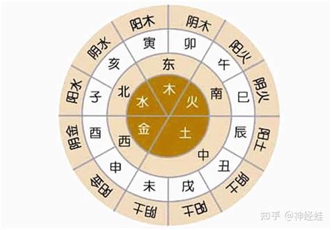 酉金意象|十二地支酉金